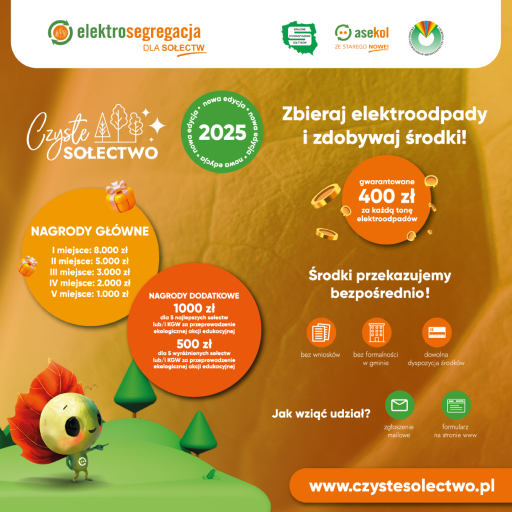 zdjęcie ilustracyjne 